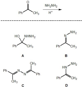 <strong>What is the major product of the following reaction? </strong> A) A B) B C) C D) D