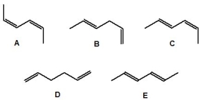 <strong>Which of the following dienes is the most stable? </strong> A) A B) B C) C D) D E) E