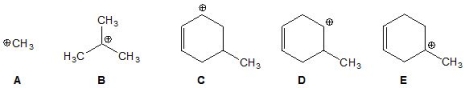 <strong>From the following carbocations, pick out the most stable: </strong> A) A B) B C) C D) D E) E