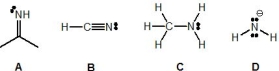 <strong>From the following molecules, pick out the strongest base: </strong> A) A B) B C) C D) D