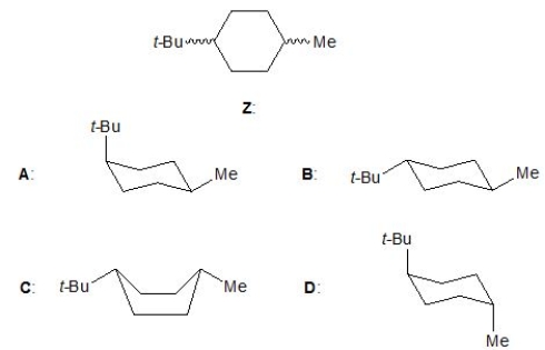 <strong>For the following conformers, A-D, pick out the one which represents the most stable conformer of molecule Z: </strong> A) A B) B C) C D) D