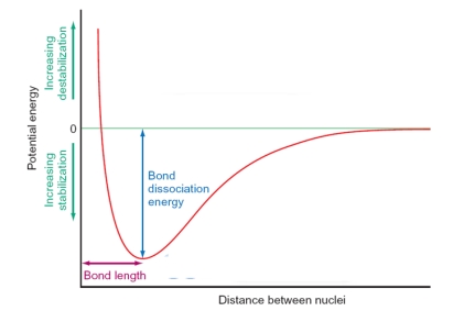 <strong>In the figure below, the shape of the curve is dictated by which of the following factors? Please select all that apply. </strong> A) At long distances there is no interaction between the atoms as the orbitals are not able to overlap. B) At very short distances the atoms repel strongly as the positive nuclei come into close contact. C) The equilibrium between repulsive and attractive forces generates the bond length between the atoms. D) As the atoms become close enough together the orbitals overlap and the atoms are drawn together as bonding occurs.