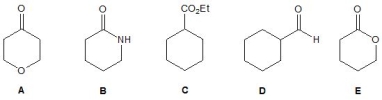 <strong>Which of the following compounds A-E is a lactone? </strong> A) A B) B C) C D) D E) E