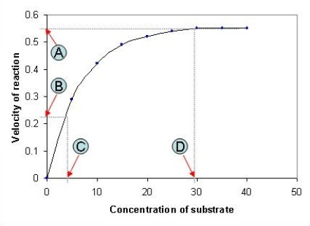 <strong>The following graph depicts the rate of an enzyme-catalyzed reaction. Which value, A-D, represents the Michaelis constant, K<sub>M</sub>, for the enzyme featured in the graph? </strong> A) A B) B C) C D) D