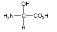<strong>Which of the following is the correct general structure for an amino acid?</strong> A) B) C) D) E)