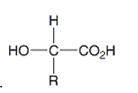 <strong>Which of the following is the correct general structure for an amino acid?</strong> A) B) C) D) E)