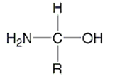 <strong>Which of the following is the correct general structure for an amino acid?</strong> A) B) C) D) E)