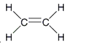 <strong>Ethyne is represented by which of the following structural formulae?</strong> A) B) C) D) E)