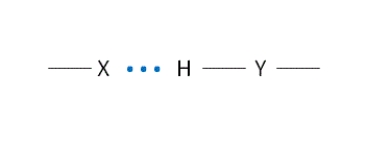 <strong>Look at this figure of a hydrogen bond. Which entity - X or Y - is acting as the hydrogen bond donor? </strong> A) X B) Y