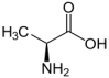 <strong>Identify the category of amino acid presented here. </strong> A) neutral nonpolar B) neutral polar C) acidic D) basic