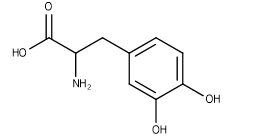 <strong>Identify the functional groups contained in the following molecule, from left to right. </strong> A) alcohol, ketone, amine, alcohol, alcohol B) carboxylic acid, amine, alcohol, alcohol C) ester, amide, alcohol, alcohol D) carboxylic acid, amide, alcohol, alcohol E) alcohol, ketone, amide, alcohol, alcohol