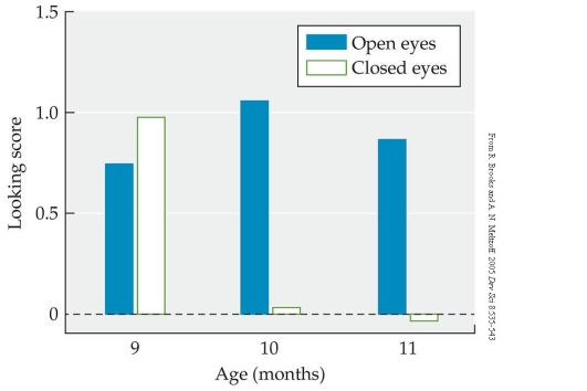 Review this figure. Briefly summarize and interpret the experimental results shown in this figure.