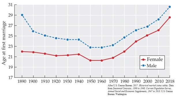 <strong>Refer to the figure. According to the graph,</strong> A) men usually marry women who are older than they are. B) in the late 19th century, the average age at first marriage was fairly young. C) since the 1960s, age at first marriage has leveled off for both men and women. D) age at first marriage reached its lowest point in the 1950s. E) men are marrying considerably later now than they did in the 1890s.