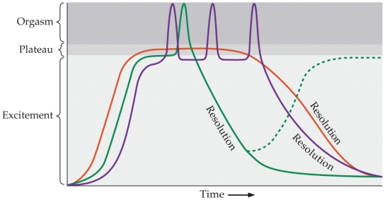 <strong>Refer to the figure. The figure shows three patterns in the sexual response cycle. Based on the information presented in the figure, which statement is true?</strong> A) There are various sexual response patterns. B) Without orgasm, the sexual response cycle is not complete. C) Multiple orgasms are rare but possible. D) All sexual response patterns are similar. E) The sexual response cycle varies by culture and personal expectations.
