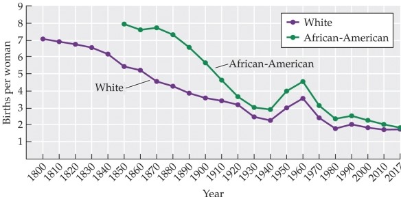 <strong>Refer to the figure. This graph shows births per woman by year for white and African-American women. Data for African-American women are shown with the green (top) line. What conclusion can be drawn from the information in the graph?</strong> A) A decline in births correlates with a decline in sexual activity. B) Declining births are due to the availability of the birth control pill. C) Birth rates for both white and African-American women have declined since 1850. D) Since 1850, births have declined for white women but not for African-American women. E) Changes in the institution of marriage have caused a decline in the birth rate.