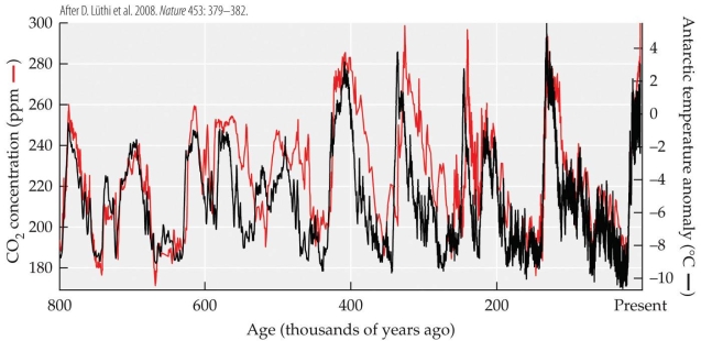 <strong>Refer to the figure. The figure shows the temperature (in °C, relative to modern temperature) and the concentrations of carbon dioxide (in ppm) and methane (in ppb) over the past 400,000 years. - The current concentration of carbon dioxide is 404 ppm (not shown on the figure). Use the data in the figure to determine the highest carbon dioxide concentration levels that occurred over the past 400,000 years. At that point, the concentration of carbon dioxide was about _______% of the current concentration.</strong> A) 45?50 B) 55?60 C) 70?75 D) 90?95