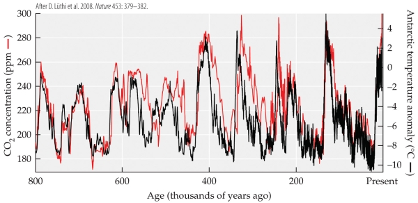 <strong>Refer to the figure. The figure shows the temperature (in °C, relative to modern temperature) and the concentrations of carbon dioxide (in ppm) and methane (in ppb) over the past 400,000 years. -According to various lines of evidence, our species emerged about 160,000 years ago. At that time, temperatures were about _______°C cooler than they are now, and the carbon dioxide level was about _______ ppm.</strong> A) 4; 200 B) 4; 300 C) 8; 200 D) 8; 300