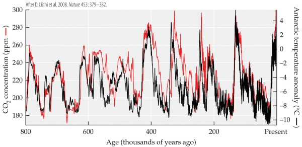 <strong>Refer to the figure. The figure shows the temperature (in °C, relative to modern temperature) and the concentrations of carbon dioxide (in ppm) and methane (in ppb) over the past 400,000 years. - Ten thousand years ago, the concentration of carbon dioxide was about _______ times that of methane.</strong> A) 5 B) 20 C) 50 D) 500