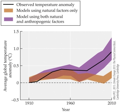 <strong>Refer to the figure. Computer models observed global temperature changes with and without anthropogenic forces, proving that humans have indeed played a major role in observed warming. Using the figure, what year did anthropogenic factors start making a significant impact?</strong> A) 1910 B) 1975 C) 1990 D) 2010