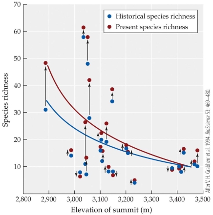 <strong>Refer to the figure. Individual species vary in their response to climate change. What is the best explanation for what is happening to communities in the European Alps as a result of climate change?</strong> A) On mountains with elevations lower than 3,200 feet, existing communities are becoming more species-rich due to the addition of low-elevation species. B) On mountains with elevations higher than 3,200 feet, existing communities are being displaced by lower-elevation communities. C) Across all mountains, species richness is increasing because of subalpine species migrating into the alpine. D) The species richness of the communities with the most historical species richness are increasing the most because they were historically the most resource-rich communities.