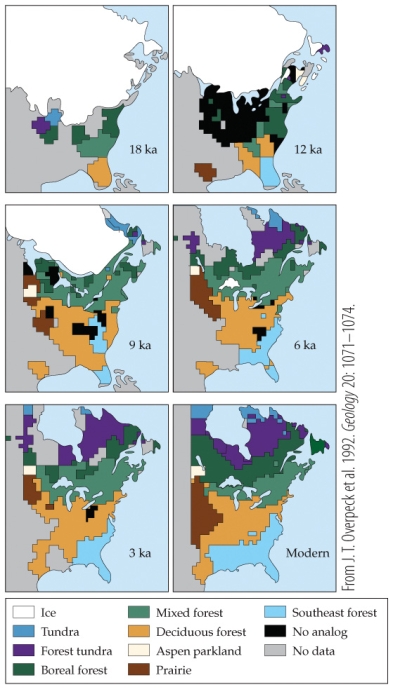 <strong>Refer to the figure. - Large-scale community changes observed historically took thousands of years. For example, it took from 18,000 years ago to 6,000 years ago for forest tundra to reach even a portion of its current geographical location. Which factor will increase the susceptibility of species to extinction due to our current, rapidly changing environment that was not present historically?</strong> A) Assisted migration by humans B) Habitat fragmentation C) Development of novel communities D) Accelerated evolutionary changes