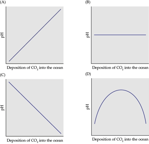 <strong>Refer to the figure. Which figure best describes the relationship between carbon intake in oceans and pH of the oceans?</strong> A) Figure A B) Figure B C) Figure C D) Figure D