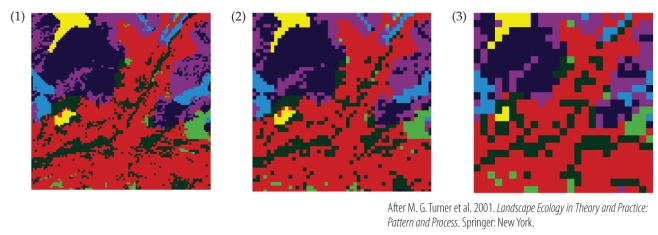 <strong>Refer to the figure.   A graduate student interested in using a habitat map of North America finds that it is too large of a file for his school's Geographic Information System (GIS) computers to handle.  -To reduce the file size, the graduate student changes the pixel size of the file from 30 x 30 m (Panel 1) to 1000 x 1000 m (Panel 3). This student has successfully altered the _______ but in the process has lost _______.</strong> A) extent; detail B) grain; detail C) scale; accuracy D) range; precision <div style=padding-top: 35px> 