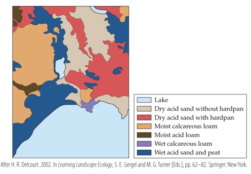 <strong>Refer to the figure.   The figure shows soil types in a part of Michigan's Upper Peninsula. Assume that the top of the map is north.  - According to the map, the _______ soil type is most common on the northwestern edge of the large lake, and the _______ soil type is most common on its northeastern edge.</strong> A) moist calcareous loam; dry acid sand B) wet acid sand and peat; moist calcareous loam C) wet acid sand and peat; dry acid sand without hardpan D) dry acid sand with hardpan; dry acid sand without hardpan <div style=padding-top: 35px> 