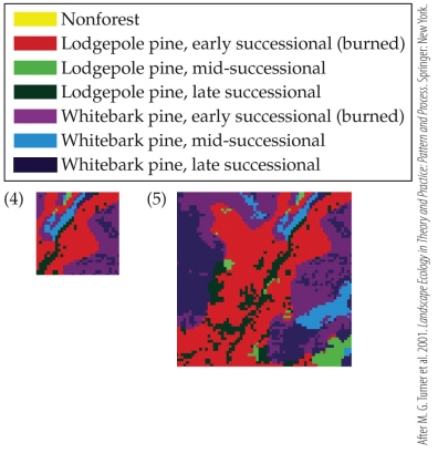 <strong>Refer to the figure.   In Panel 4, the _______ is _______ than it is in Panel 5.</strong> A) grain; smaller B) grain; larger C) extent; smaller D) structure; smaller <div style=padding-top: 35px> 