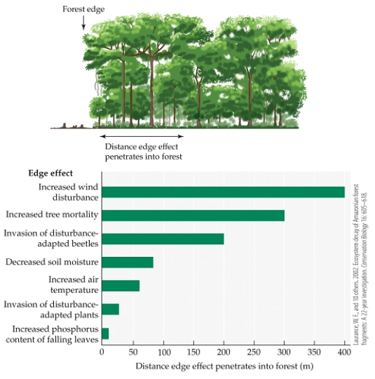 <strong>Refer to the figure.   The figure shows the extent of different edge effects in Amazon rainforest fragments.  - Based on the figure, which difference would you expect to find 150 meters from the edge of a forest fragment, as compared to an area in the deep interior of the fragment?</strong> A) A decrease in soil moisture B) Increased air temperature C) Increased tree mortality D) Decreased relative humidity <div style=padding-top: 35px> 
