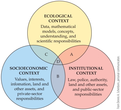 <strong>Refer to the figure.   If a field biologist with the National Park Service is working to collect data on a particular species, which of the following best describes that interaction?</strong> A) B, zone of social obligations B) C, zone of informal decisions C) A, zone of regulatory or management authority D) D, zone of win-win partnerships <div style=padding-top: 35px> 