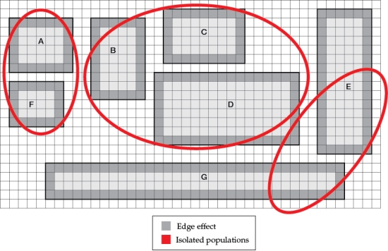 Refer to the figures. Figure 1   Figure 2   Figure 4   You are working with a town to develop a conservation strategy for parks (tracts) of protected land in a suburban area (parks A-G). These seven areas are depicted in Figure 1. Each square in the grid indicates an area of 1 km<sup>2</sup>.  - Refer to Figure 1 to familiarize yourself with the key aspects of the protected areas. Suppose you are the park manager in this area, and you have the option to build a limited number of habitat corridors to connect different parks to one another and reconnect the populations of birds that have been isolated from one another by the 1 km edge effect. However, your budget is limited. What is the minimum number of habitat corridors that would be required to reconnect the isolated populations of birds you (see Figure 4)? Where would you create these corridors, and why? On Figure 2, indicate the areas you would choose to create habitat corridors (this will be referred to as Figure 5).<div style=padding-top: 35px> 