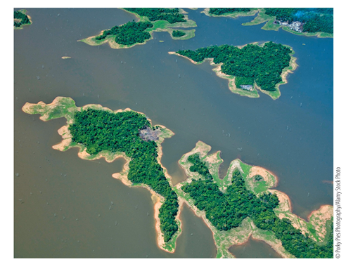 <strong>Refer to the photo.   Consider the forest fragmentation that took place in the formation of Lago Guri. What effect would this have on the trophic cascades in this habitat?</strong> A) Trophic cascades would create more trophic levels. B) Trophic cascades would stop entirely due to a loss of generalists. C) Trophic cascades would be altered due to the likely loss of top predators. D) It would encourage greater numbers of trophic cascades due to the influx of new top predators. <div style=padding-top: 35px> 