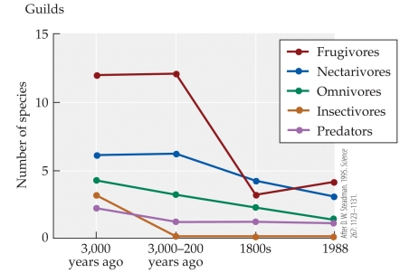<strong>Refer to the figure. This figure shows results of Steadman's study of bird extinctions in the Pacific Islands, specifically differing rates of extinctions among different guilds of birds. Based on this information, the extinction of which guild(s) of birds probably had the greatest effect on the island's plant communities?</strong> A) Frugivores B) Nectarivores C) Omnivores D) Insectivores and predators
