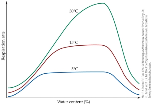 <strong>Refer to the figure. -Which statement best explains the downward trend that follows the peak of each curve?</strong> A) Low soil moisture limits the activity of decomposers. B) Soils with over one half of the water content indicated have concentrations of oxygen that are too low for optimal rates of decomposition. C) Soils with extremely high water content are unable to sustain decomposition activity. D) Soils with over one half the water content indicated increases the metabolic rate of decomposers.