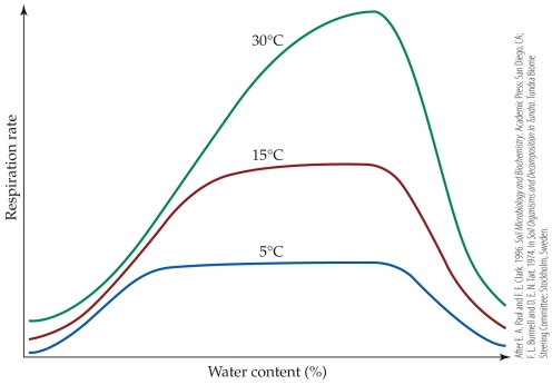<strong>Refer to the figure. - Which statement is supported by the figure?</strong> A) Decomposers at higher temperatures need less moisture to reach peak levels of activity than decomposers at lower temperatures do. B) Soils with low water content limit rates of decomposition at all temperatures. C) High soil moisture decreases microbial activity only at a temperature of 30°C. D) Microbes in soils at 15°C require less soil moisture to reach their peak rate of decomposition than microbes in soils do at 30°C.