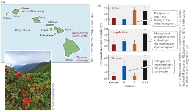 <strong>Refer to the figure. Based on research by Vitousek and colleagues, an Ohi'a tree that grows about 2.6 mm in diameter a year when fertilized with nitrogen and phosphorous would most likely be living on a Hawaiian island approximately _______ years old.</strong> A) 150 B) 1,500 C) 21,500 D) 2.15 million