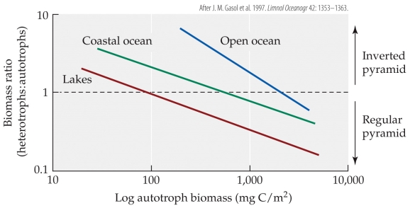 <strong>Refer to the figure. The figure shows the relationship between the total autotroph biomass in the ecosystem and the ratio of heterotrophic to autotrophic biomass for lakes, coastal ocean, and open ocean. According to the figure, at 1,000 mgC/m<sup>2</sup> of autotrophic biomass, lakes would be predicted to have a(n) _______ biomass pyramid, coastal oceans would be predicted to have a(n) _______ biomass pyramid, and open oceans would be predicted to have a(n) _______ biomass pyramid.</strong> A) regular; regular; regular B) regular; regular; inverted C) inverted; regular; regular D) inverted; inverted; regular