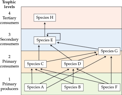 Refer to the table and figure. Table 3 Figure 1 Re-draw the food web from Figure 1 including the most important interactions only, which you identified in Table 3 (this will be referred to as Figure 2). What is one advantage of focusing on the most important interactions? What kind of experimental manipulation would you do to confirm that you have identified the important interactions correctly?