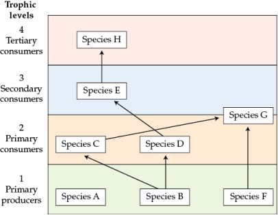 Refer to the figure. Figure 2 Based on the food web you drew for Figure 2, which species is the most important primary producer in the system? Justify your answer. Focusing on the most important interactions, what would you predict would happen to the structure of this food web and the number of trophic levels if all individuals of species B were removed? Which species might be lost from the area as a result of the loss of species B? Which species is least likely to be affected by the loss of species B?