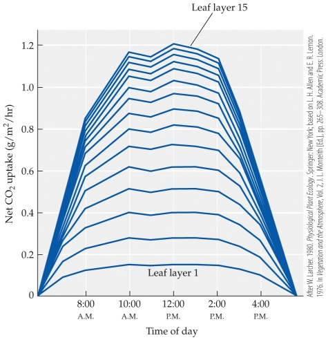 <strong>Refer to the figure. The figure shows CO<sub>2</sub> uptake by various leaf layers in a tropical forest. -If a native forest with 15 leaf layers is replaced with a palm oil plantation that has 3 leaf layers, there will be a(n) _______ of _______ maximum net CO<sub>2</sub> uptake because of ________.</strong> A) decrease; 0.7 g/m<sup>2</sup>/hr; a reduction in net photosynthesis due to fewer leaves B) decrease; 0.5 g/m<sup>2</sup>/hr; a reduction in net photosynthesis due to fewer leaves C) increase; 0.7 g/m<sup>2</sup>/hr; reduced respiration loss due to fewer inefficient leaves D) increase; 1.2 g/m<sup>2</sup>/hr; a greater proportion of high efficiency with top canopy leaves
