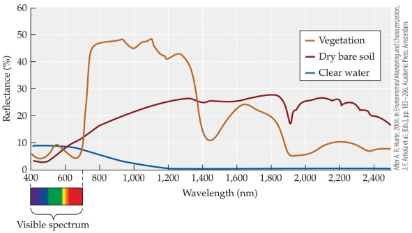 <strong>Refer to the figure. The normalized difference vegetation index (NDVI) explores the difference in absorption by plants and soil as a proxy to infer plant biomass. If NDVI uses a 600 nm and 1,000 nm wavelength in its estimation, what other wavelengths of light would be useful in distinguishing plants from soil?</strong> A) 400 B) 700 C) 1,300 D) 1,900