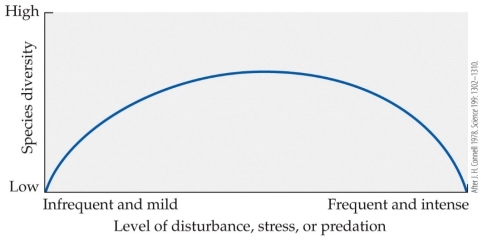 <strong>Refer to the figure. According to this representation of the intermediate disturbance hypothesis, why does diversity decline at more frequent and intense levels of disturbance?</strong> A) Because increasing competition reduces diversity B) Because mortality disrupts competitive exclusion C) Because mortality increases with more frequent or intense disturbance D) Because competitive exclusion increases with more frequent or intense disturbance