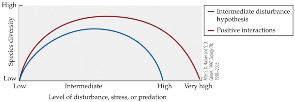 <strong>Refer to the figure. The figure illustrates Hacker and Gaines' extension of the intermediate disturbance hypothesis. Which statement does not align with the predictions of this model?</strong> A) At high levels of disturbance, positive interactions should increase the survival of individuals of the interacting species, increasing diversity. B) At intermediate levels of disturbance, positive interactions should help release species from competition, increasing diversity. C) At low levels of disturbance, positive interactions should help increase competition, increasing diversity. D) At all levels of disturbance, positive interactions should lead to higher diversity than competitive interactions alone.
