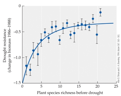 <strong>Refer to the figure. Tilman and Downing studied the impact of plant species richness on drought resistance in prairie communities. What conclusion can you draw from their figure?</strong> A) Communities with fewer species before the drought lost less biomass during it. B) Communities with intermediate species before the drought lost less biomass during it. C) Communities with more species before the drought lost less biomass during it. D) The number of species within the community did not affect biomass during drought.