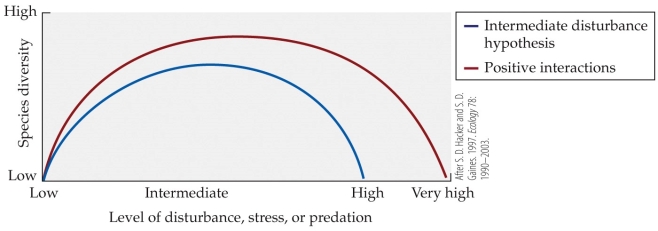 Refer to the figures. Figure 1 Figure 2 Figure 1 depicts Hacker and Gaines' tests of the role of positive interactions in the intermediate disturbance hypothesis and Figure 2 depicts their theoretical model. They experimentally explored the combined species diversity of plants and arthropods in intertidal communities that varied in disturbance and whether a facilitating rush species, Juncus, was present. What conclusions about the role of positive interactions in determining species diversity can you draw from Figure 1? Do they confirm or refute the theoretical predictions of their model? Explain your reasoning.