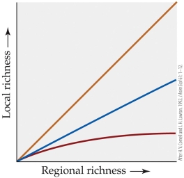 <strong>Refer to the figure.   In the figure, assume that the top line has a slope of 1 and the middle line a slope of 0.7. Which of the three relationships shown illustrates a scenario in which local processes most strongly limit species richness in a community?</strong> A) Top B) Middle C) Bottom D) Impossible to say without knowing the beta and gamma diversity for each scenario <div style=padding-top: 35px> 