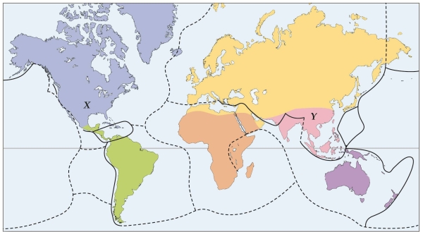 <strong>Refer to the figure.    - Which biogeographical region is represented by X?</strong> A) Caribbean B) Nearctic C) Palearctic D) Temperate <div style=padding-top: 35px> 