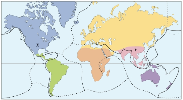 <strong>Refer to the figure.    - Which biogeographical region is represented by Y?</strong> A) Oriental B) Palearctic C) Pacificia D) Nearctic <div style=padding-top: 35px> 