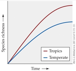 <strong>Refer to the figure.   Which of the following hypotheses for the global latitudinal gradient in species is not supported by the figure?</strong> A) The tropics and temperate regions have had similar speciation rates, but extinction rates have been lower in the tropics. B) The tropics and temperate regions have had similar extinction rates, but speciation rates have been higher in the tropics. C) The tropics have had more time for diversification than temperate regions have. D) Temperate regions have experienced lower diversification rates than the tropics have. <div style=padding-top: 35px> 